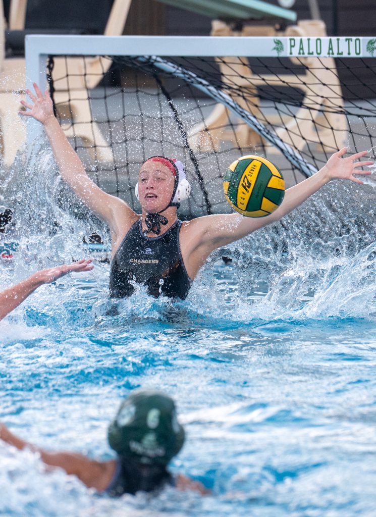 Wilcox Water Polo Caught in Vikings Rip Current — Silicon Valley Voice, Lakewood Ranch Sports news