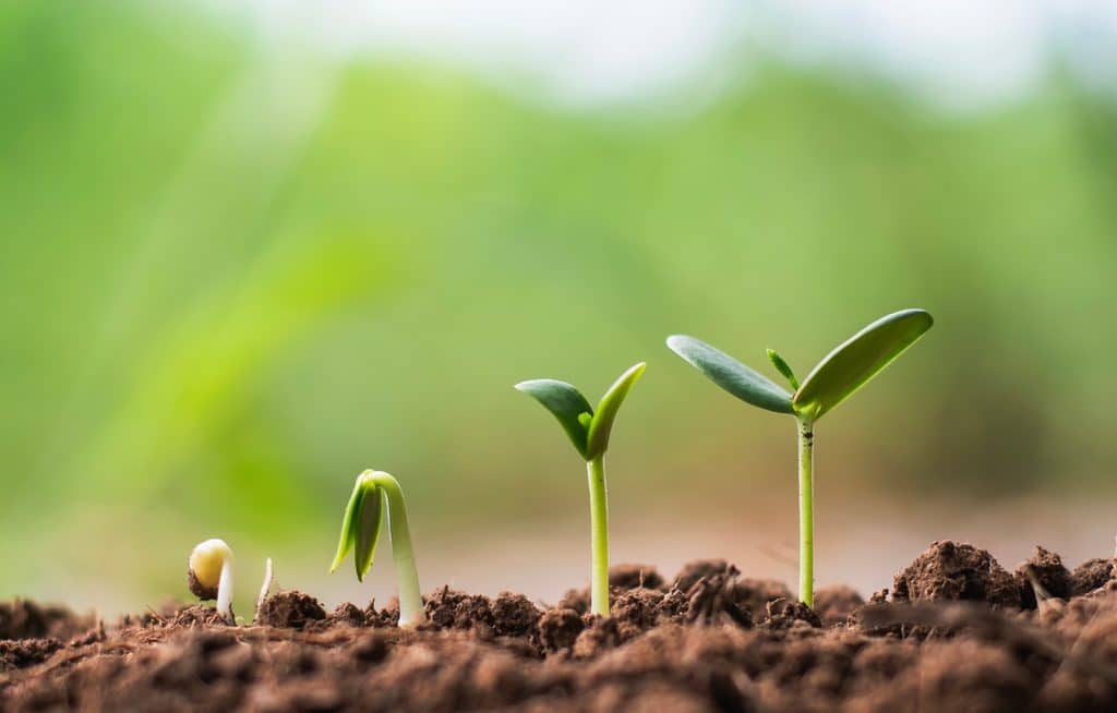 Year-end gifting: Strategies for family, charity and your financial future — Lakewood Ranch Arts news