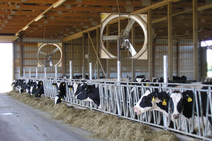 Dairy group seeks farmer input on fuel costs and farm economics — KFGO, Lakewood Ranch Business news
