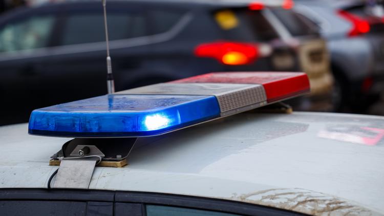 Dayton ISD bus driver arrested after student seriously injured in suspected hit-and-run, police say — KHOU 11 (Houston), Lakewood Ranch Schools news