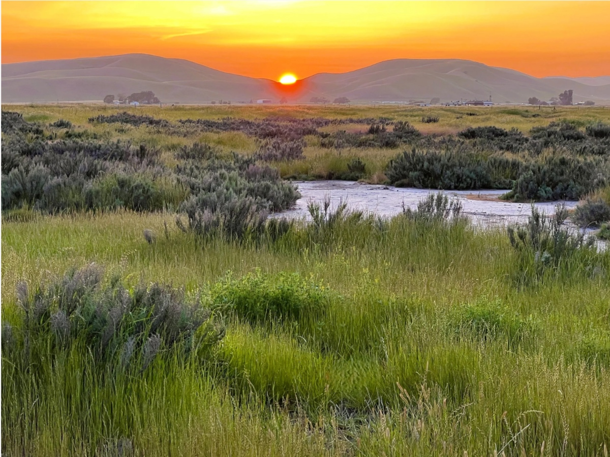 331 Acres Of Tri-Valley Wildlife Habitat, Open Space Permanently Protected — Danville Patch, Lakewood Ranch Community news