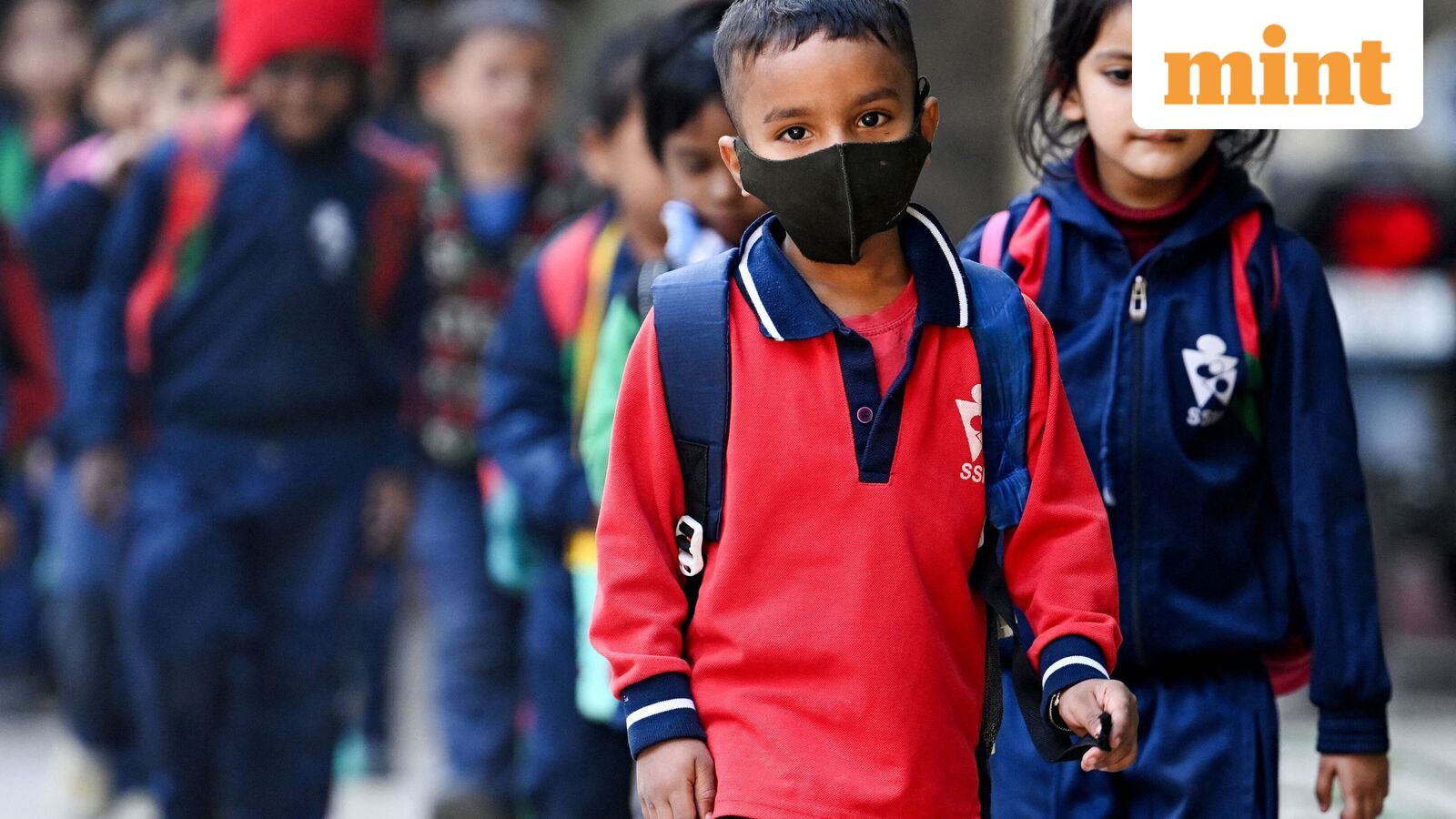 Chennai school holiday, Oct 21: Schools shut in four Tamil Nadu districts as heavy rains predicted | Check IMD alert — Mint India, Lakewood Ranch Schools news